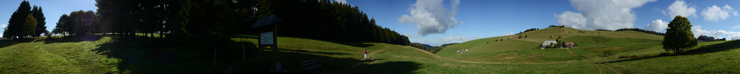 Bild: Panorama auf einer Alm